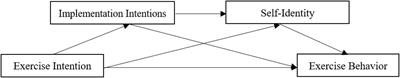 The Relationship Between Exercise Intention and Exercise Behavior of Junior School Students: An Analysis of Chain Mediating Effect